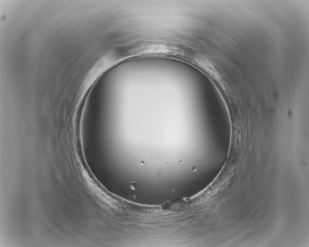 X0000060751475200511141146