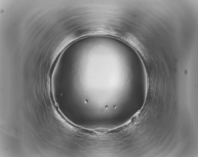 X0000060751476200511141146