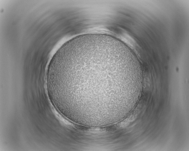 X0000060751478200511141146