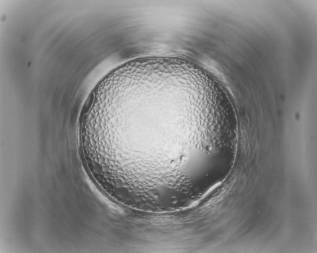 X0000060751479200511141146