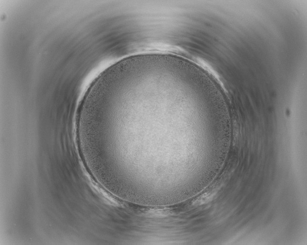 X0000060751480200511141146