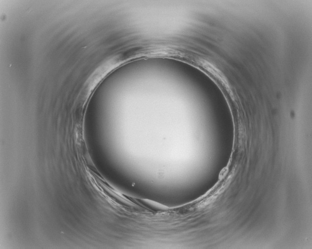 X0000060751481200511141146