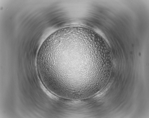 X0000060751482200511141146