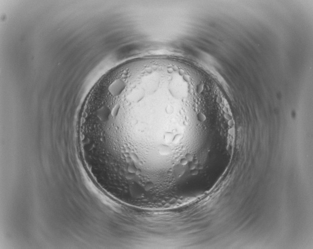 X0000060751483200511141146