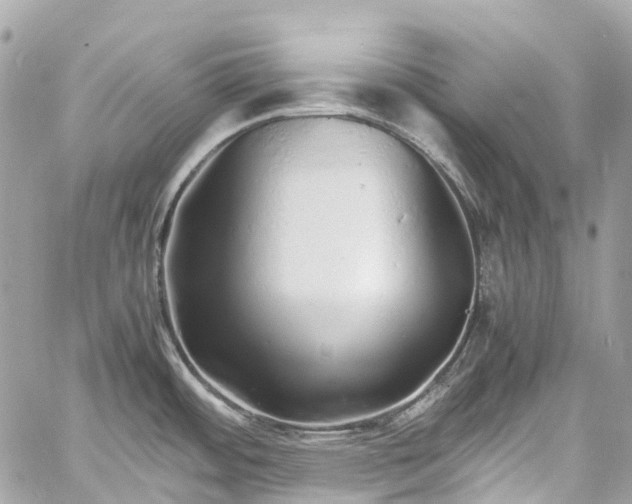 X0000060751484200511141146