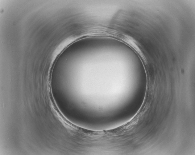 X0000060751485200511141146