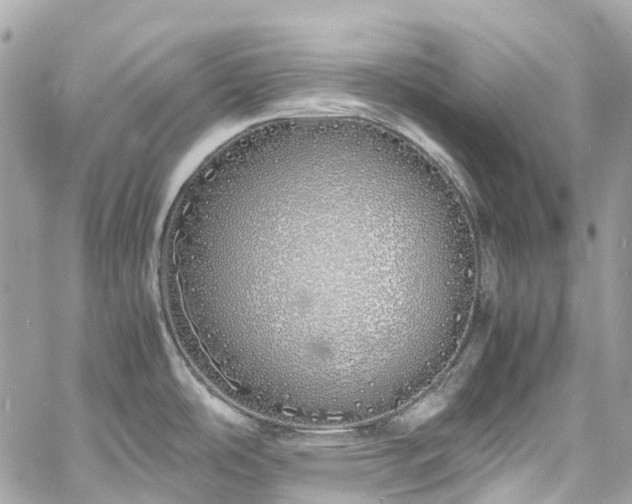 X0000060751486200511141146