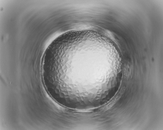 X0000060751487200511141146