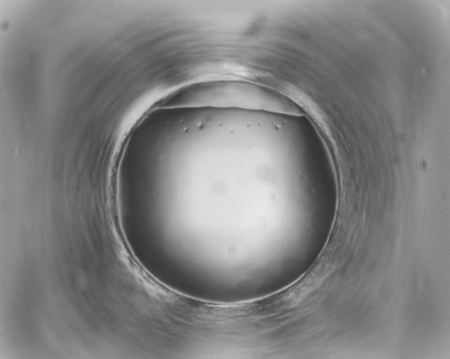 X0000060751488200511141146