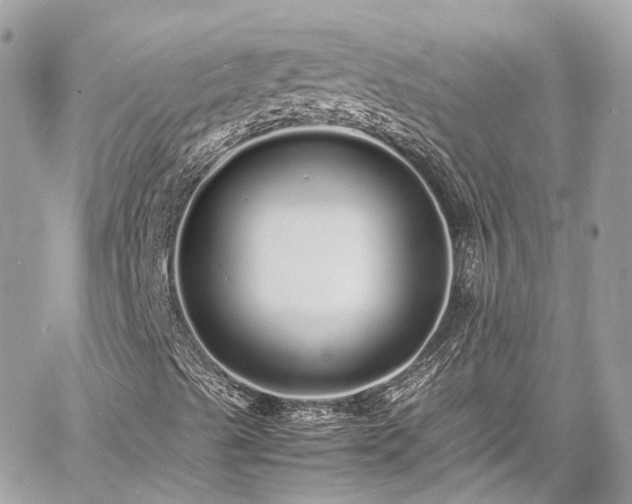 X0000060751489200511141145