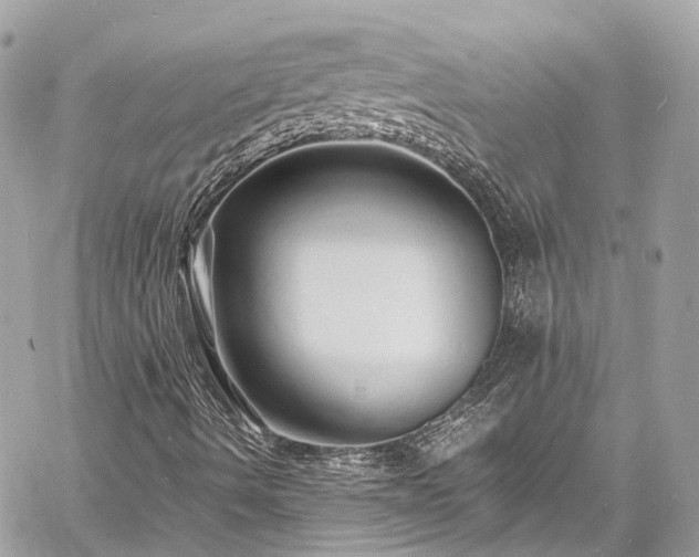 X0000060751490200511141145