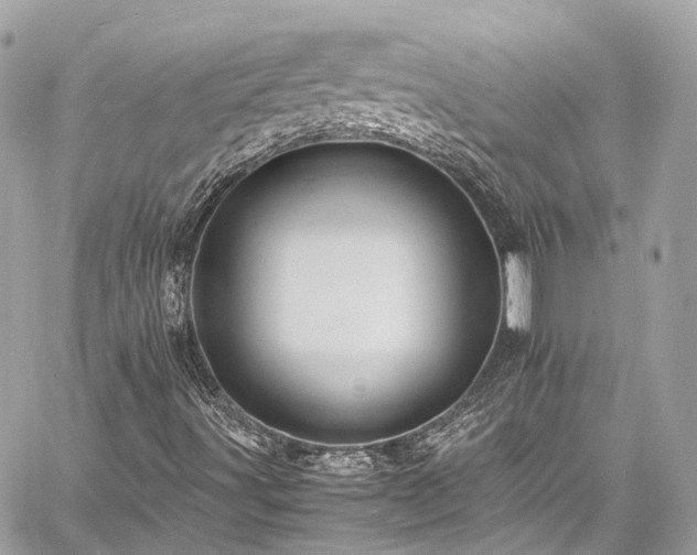 X0000060751491200511141145