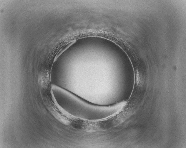 X0000060751492200511141145