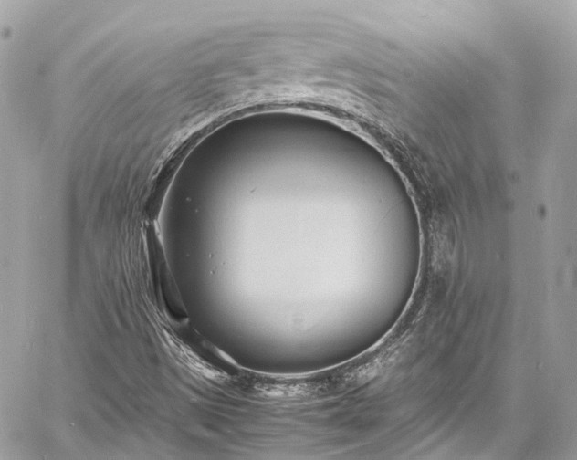 X0000060751497200511141145