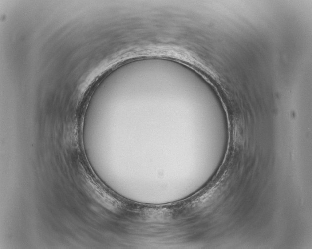 X0000060751498200511141145