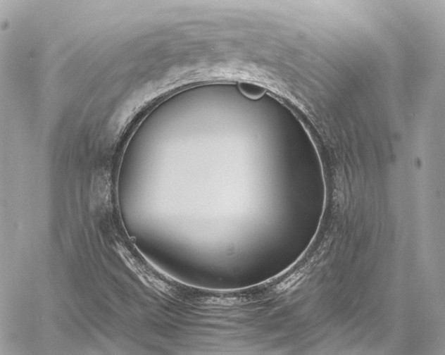 X0000060751499200511141145