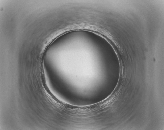 X0000060751500200511141145