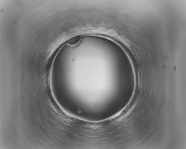 X0000060751501200511141145