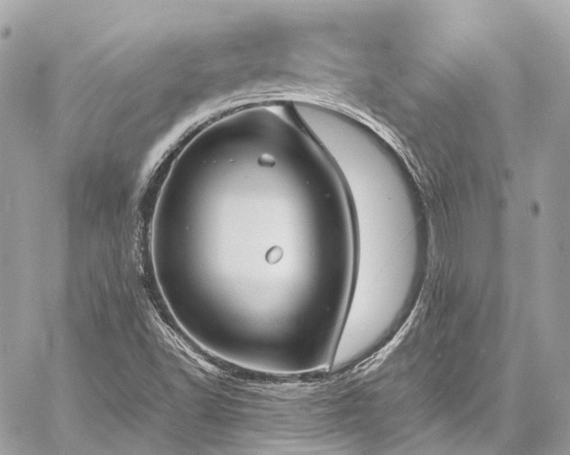 X0000060751502200511141145