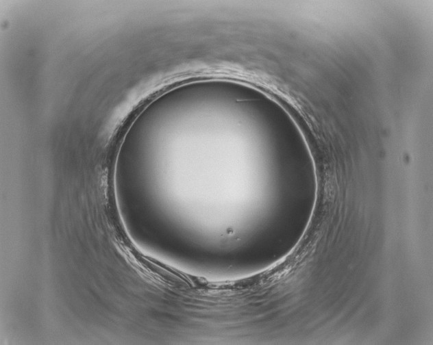 X0000060751503200511141145