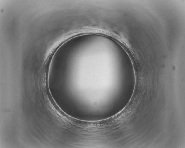 X0000060751504200511141145