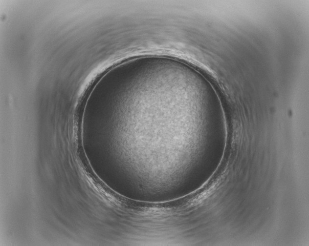 X0000060751506200511141145