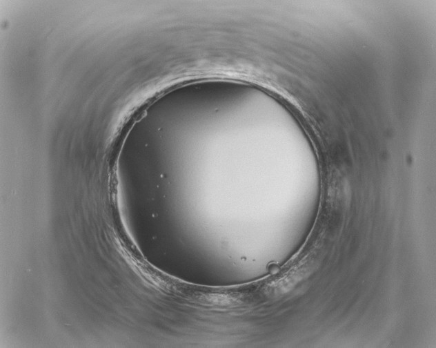 X0000060751507200511141145