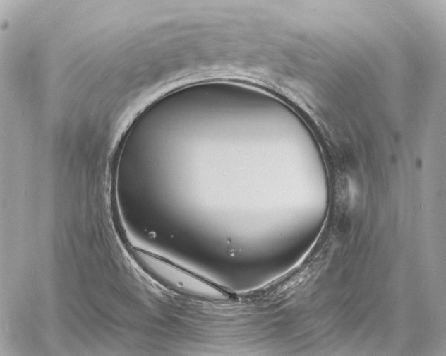 X0000060751508200511141145