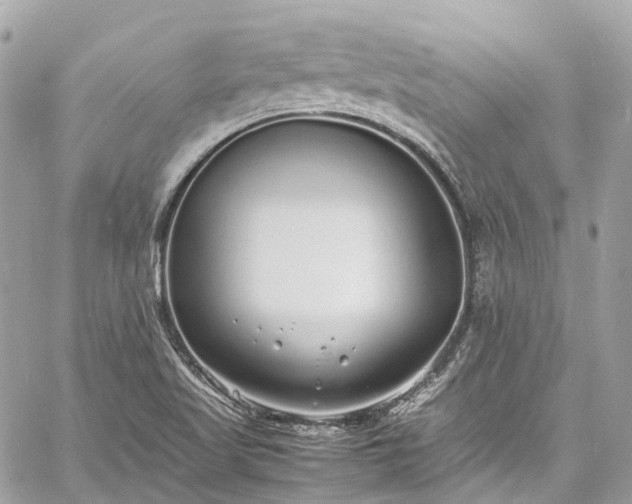 X0000060751509200511141145