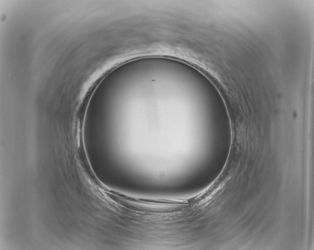 X0000060751510200511141145