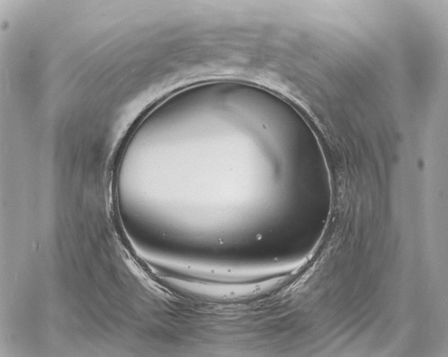 X0000060751511200511141145