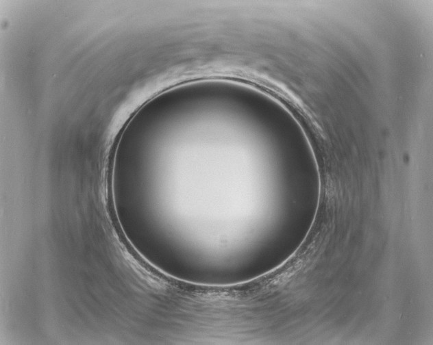 X0000060751512200511141145