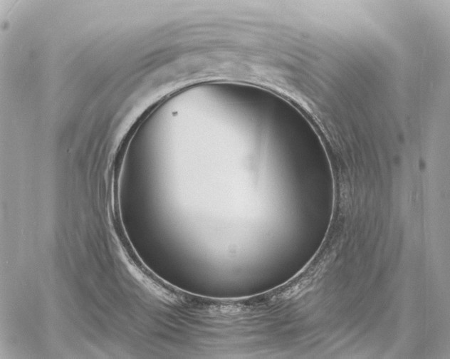 X0000060751515200511141145