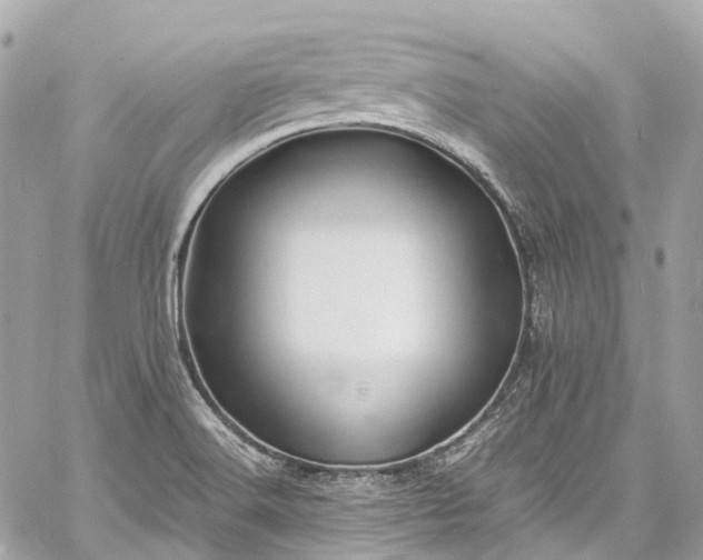 X0000060751516200511141145