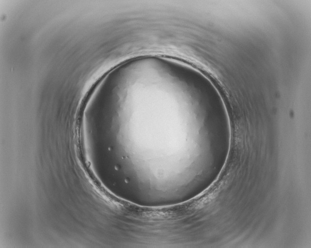 X0000060751517200511141145