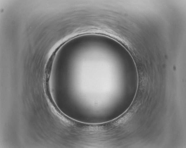 X0000060751518200511141145