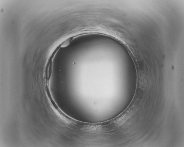 X0000060751519200511141145