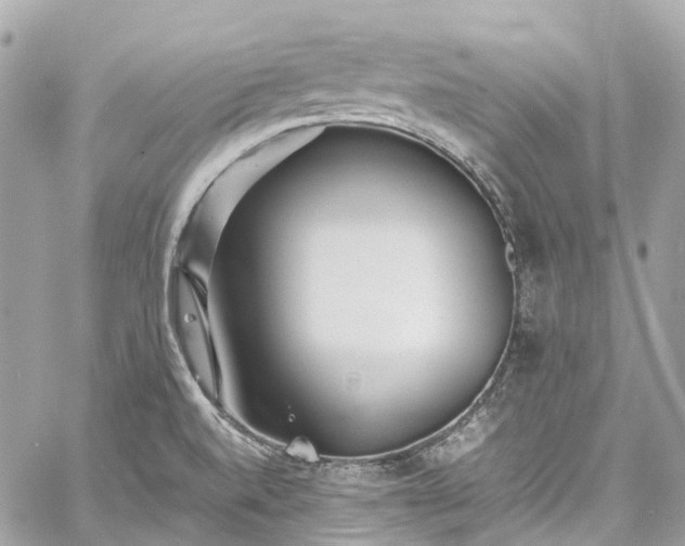 X0000060751520200511141145