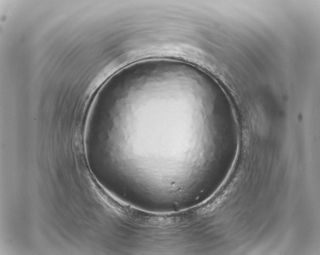 X0000060751521200511141145