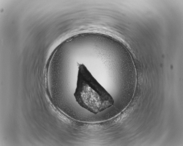 X0000060751522200511141145