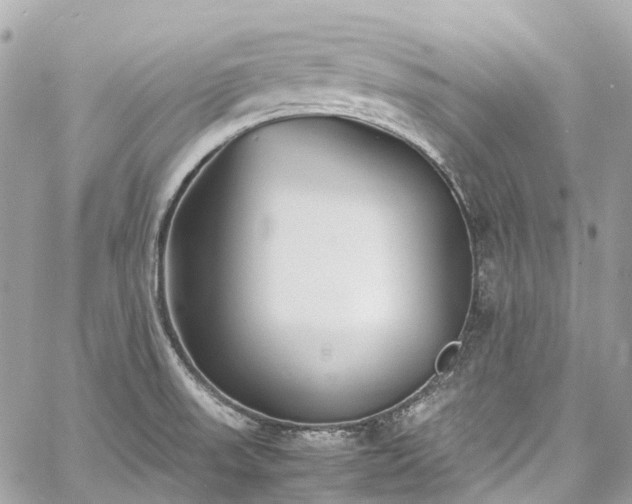 X0000060751523200511141145