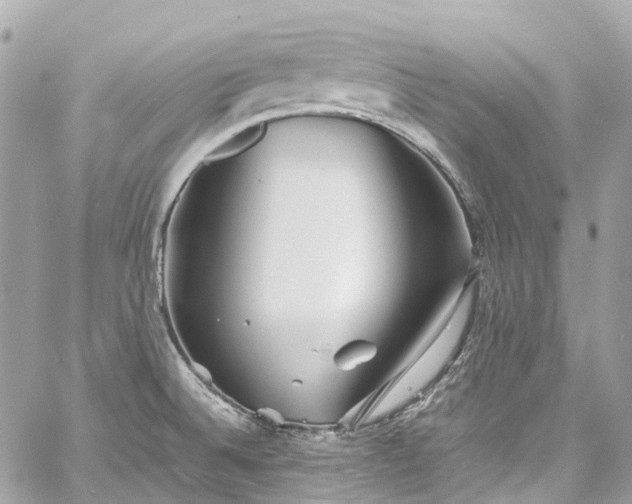 X0000060751524200511141145