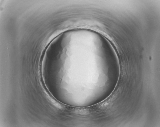 X0000060751525200511141145