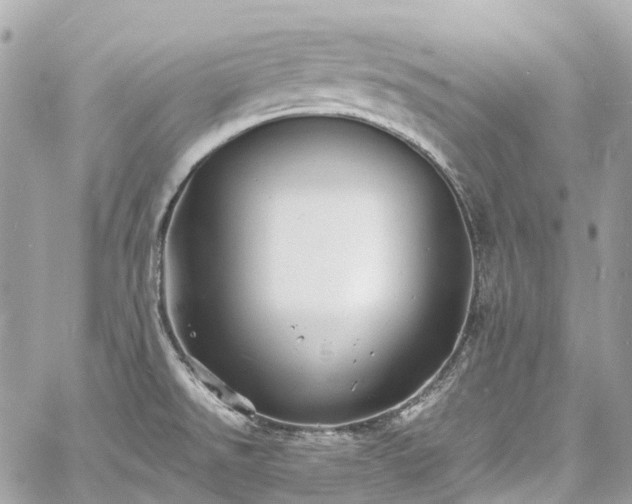 X0000060751526200511141146