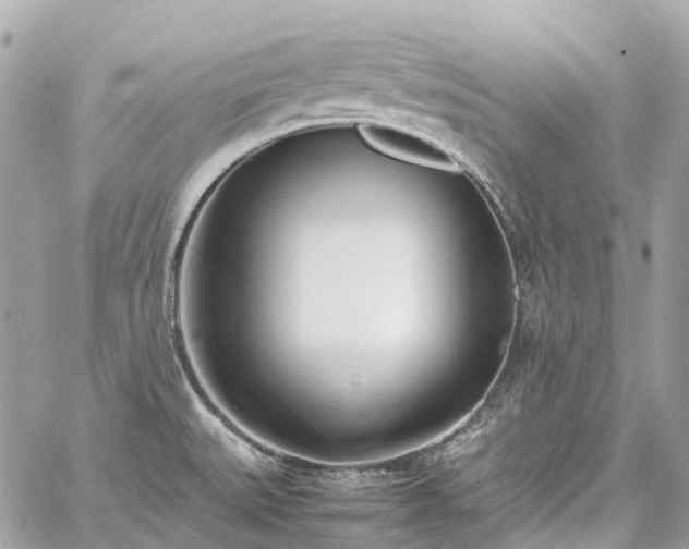 X0000060751527200511141146