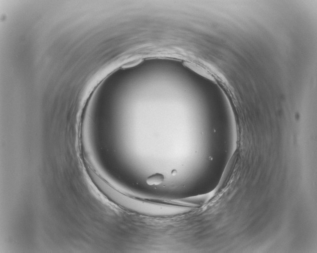 X0000060751528200511141146