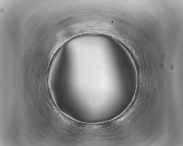 X0000060751529200511141146