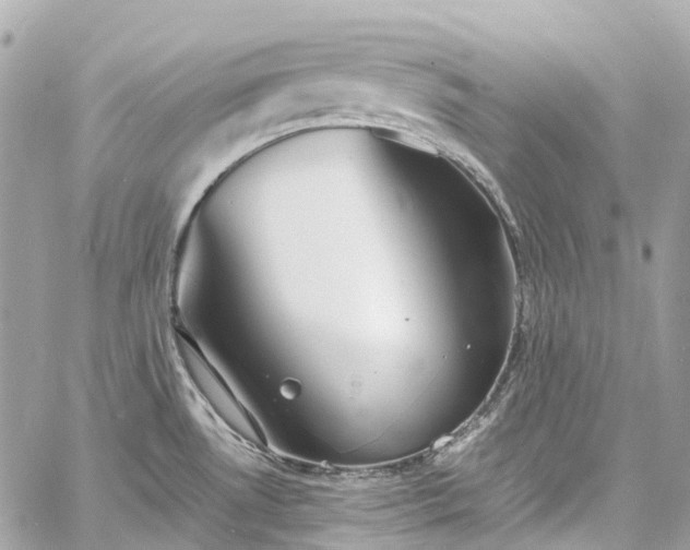 X0000060751530200511141146