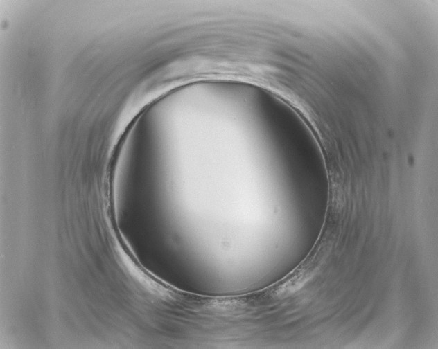 X0000060751531200511141146