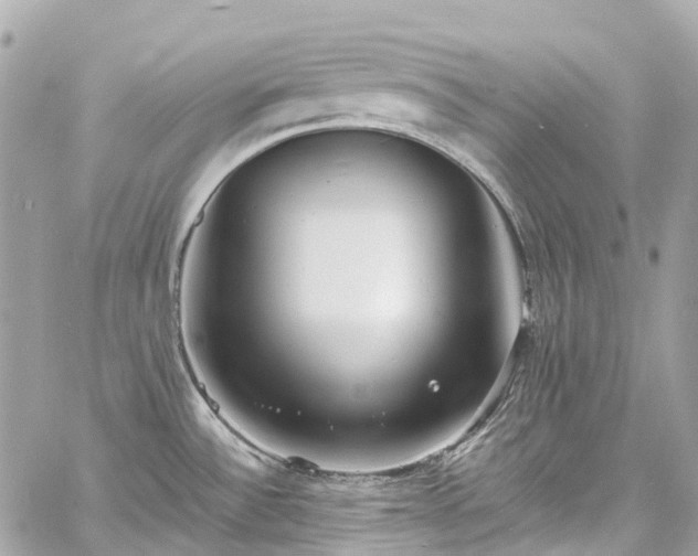 X0000060751532200511141146